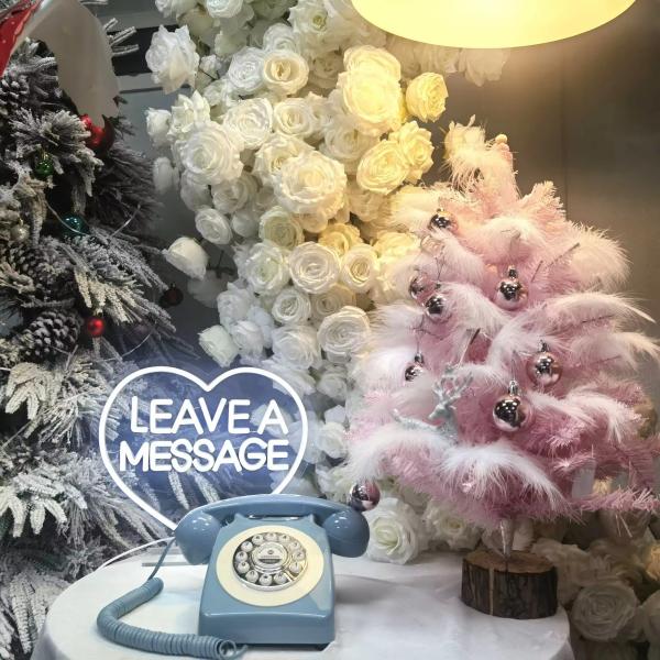 Telephone Booth Audio Guest Book